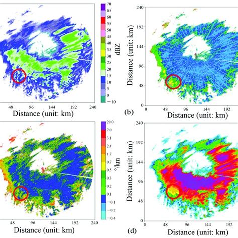 polarization echo radar